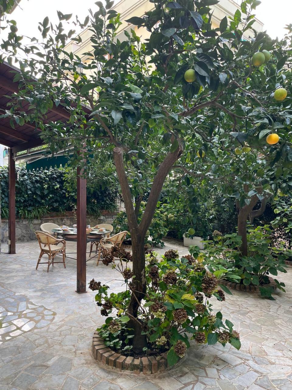 Il Sogno Sorrente